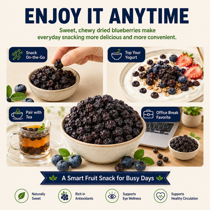 PremiumDried Blueberries-Naturally SweetChewyFruitSnackforEyeWellness& HealthyCirculation-ZP